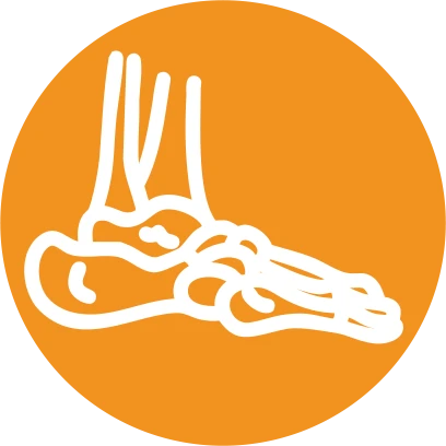 Foot & Ankle