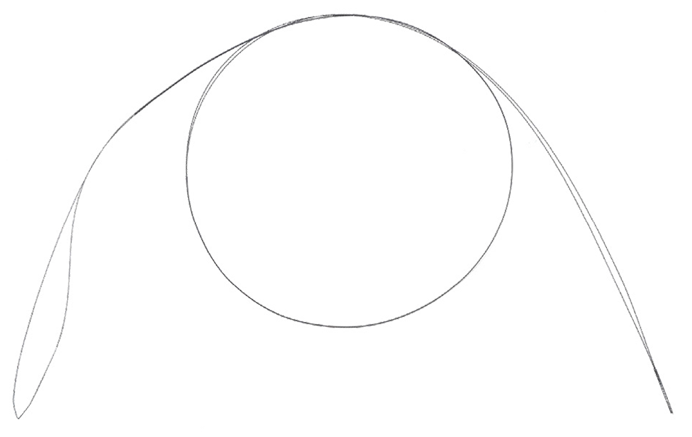 Suture Passing Lasso Australian Distributor